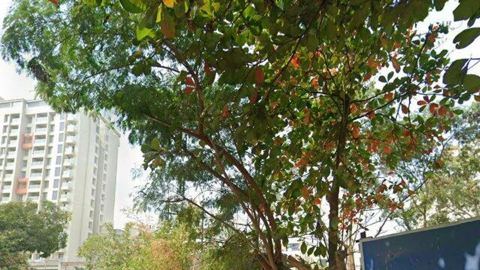 Residential at RPS HERITAGE, Pune — CupShup