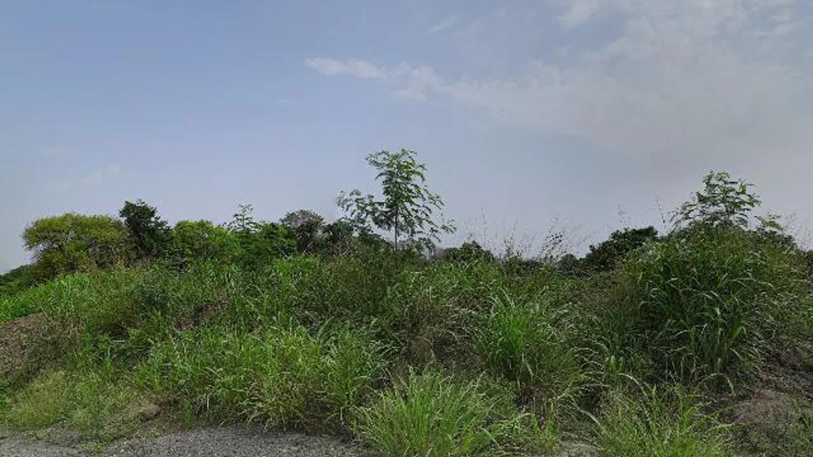 Residential at ROSE MANSION, Pune — CupShup