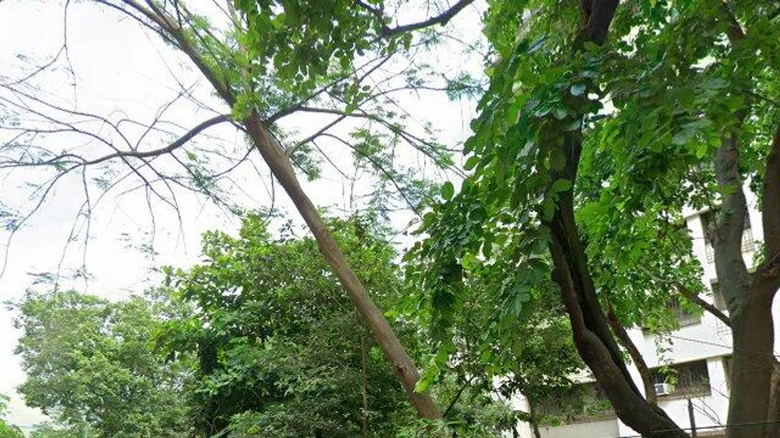 Residential at Kalpataru Riverside, Mumbai — CupShup