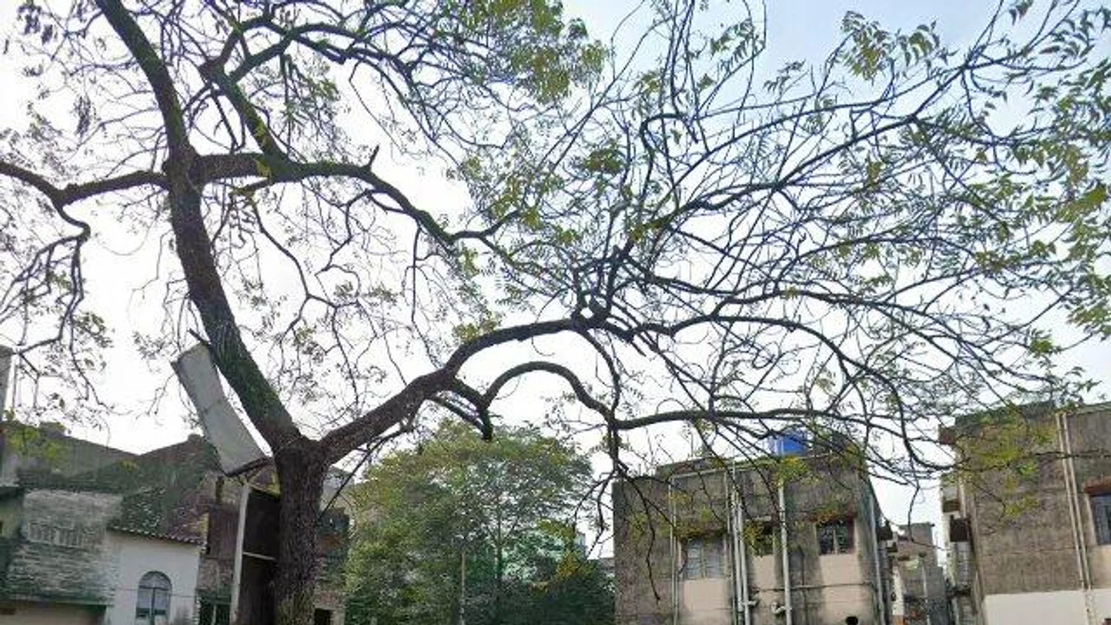 Residential at THE COSMOPOLIS, Kolkata — CupShup