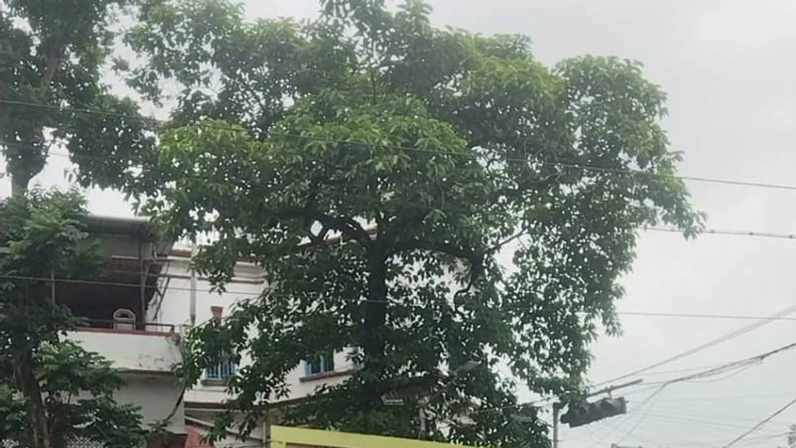 Outdoor Advertising at Jadavpur, Kolkata — back-lit outdoor advertising