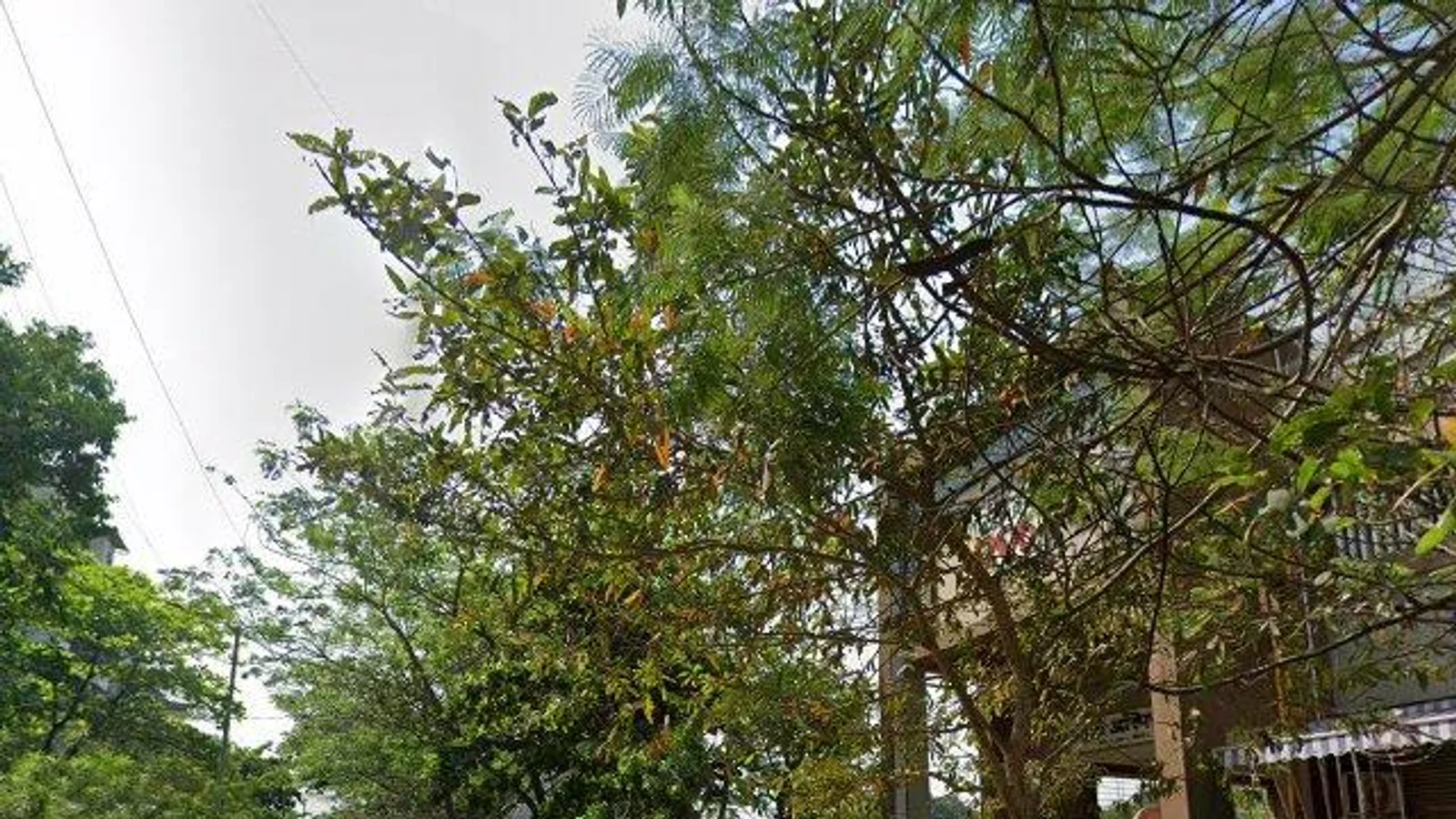 Residential at GeeCee Aspira 206, Mumbai — CupShup