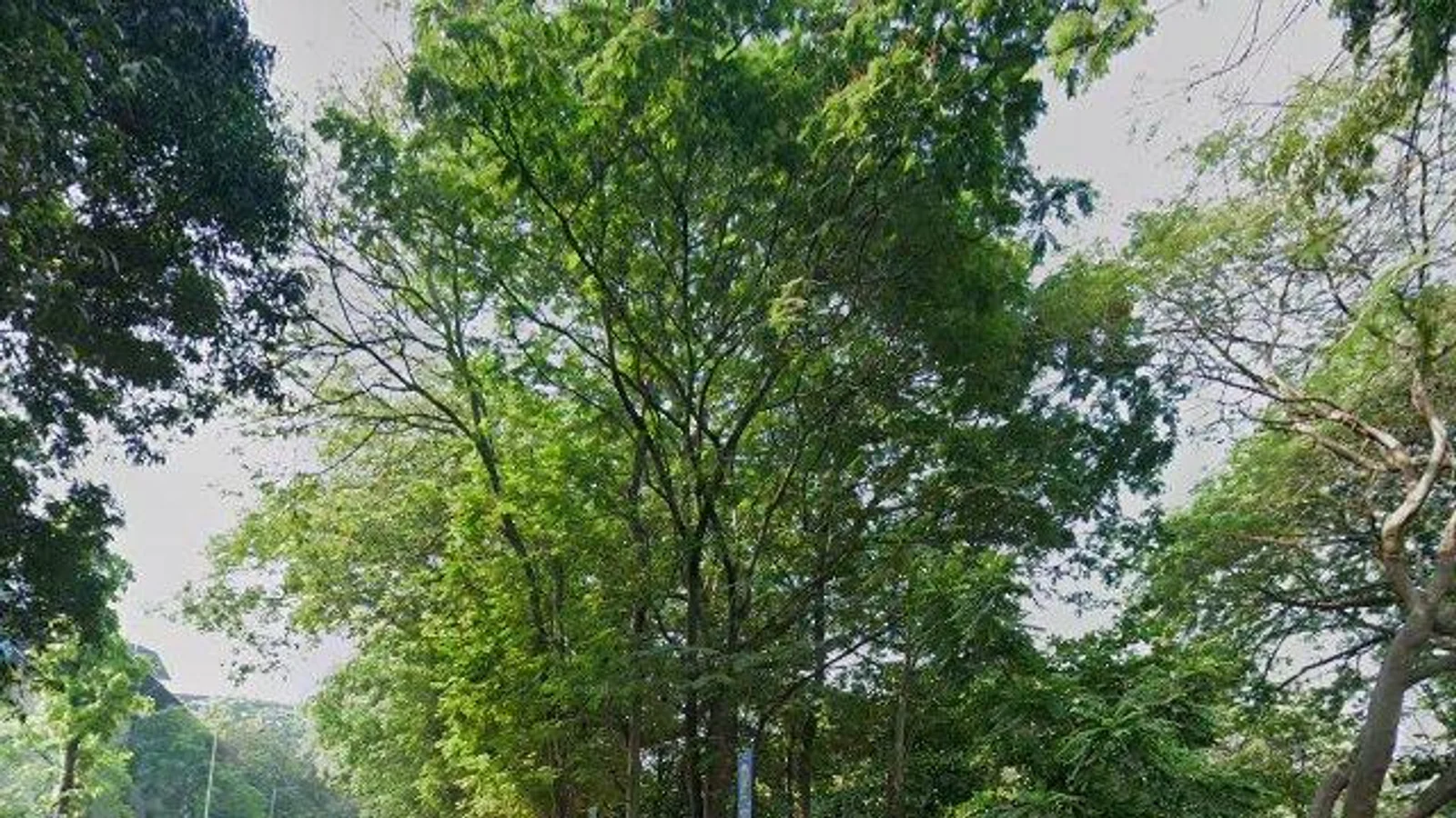 Bus Queue Shelter — Nerul Navi, Mumbai — CupShup