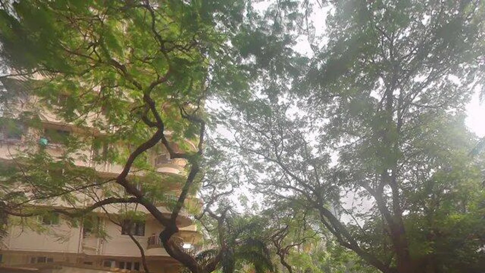 Residential at Del House, Mumbai — CupShup