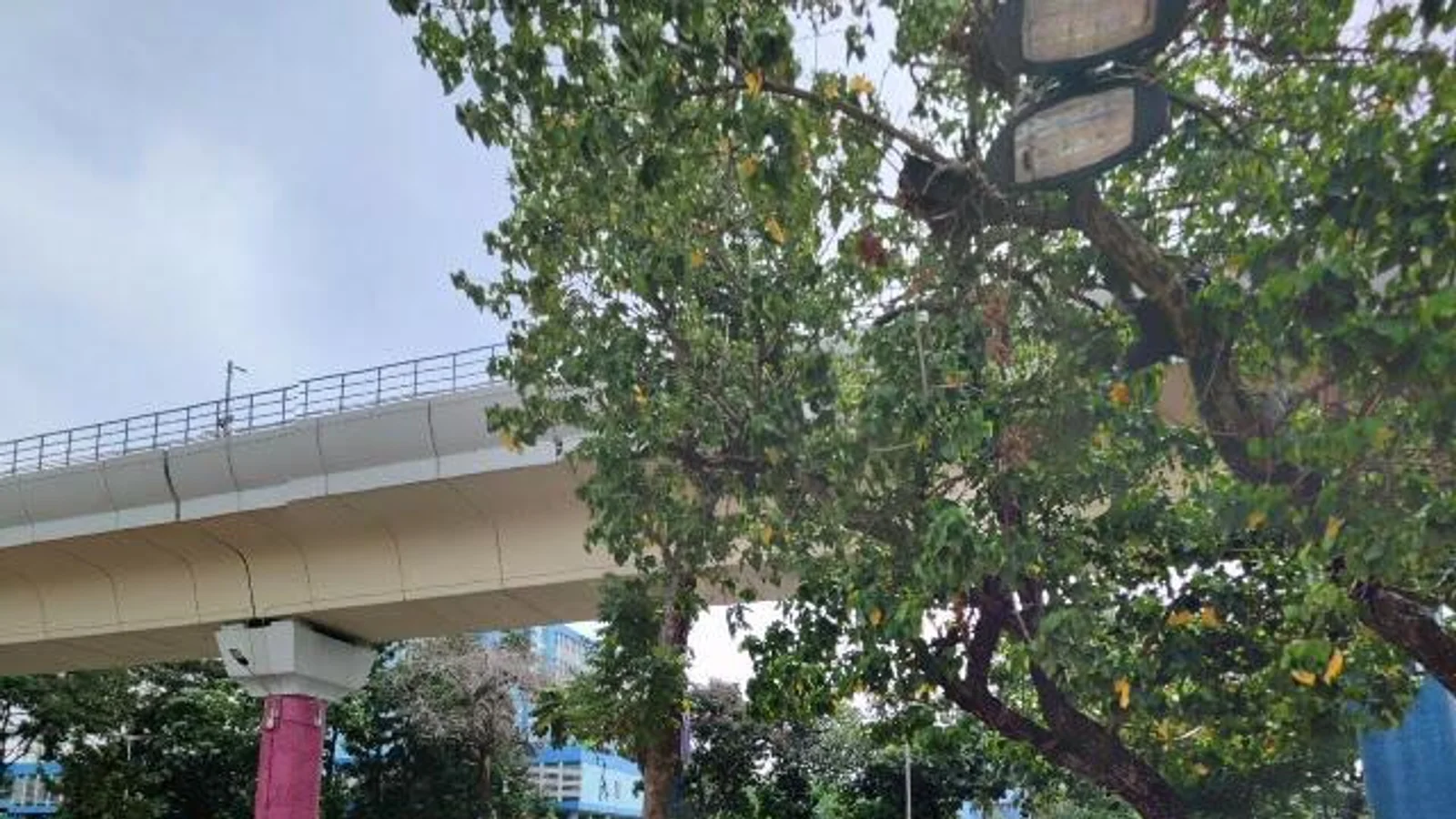 Residential at ROYAL RESIDENCY, Kolkata — CupShup